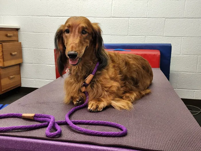 Westview Animal Clinic Picture 7