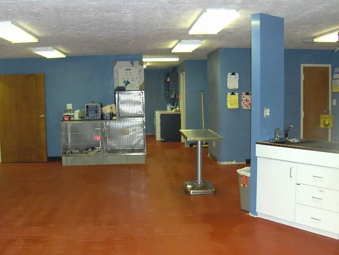 Country Critters Veterinary Hospital Picture 3