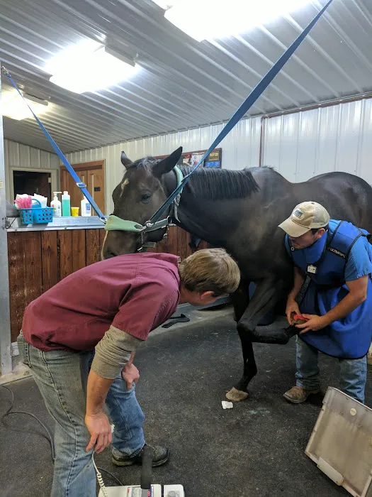 King Veterinary Services Picture 7