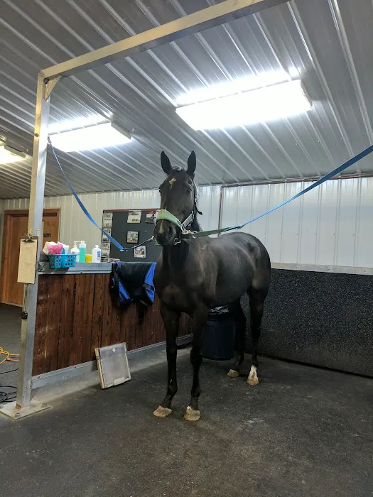 King Veterinary Services Picture 8