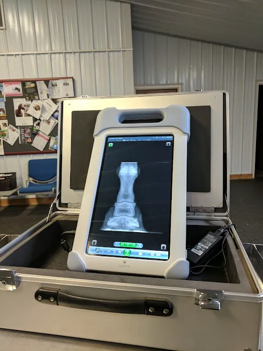 King Veterinary Services Picture 2