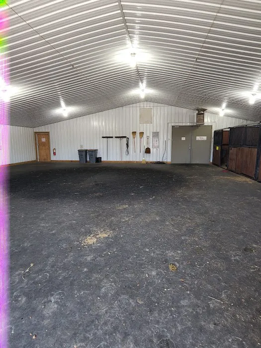 King Veterinary Services Picture 4