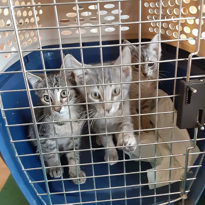 Animal Medical Center Picture 7