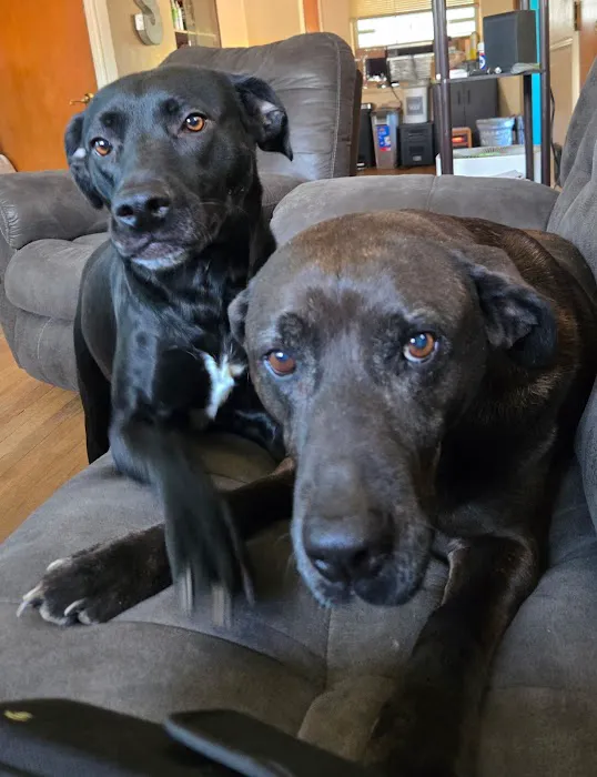 TLC Pet Care Centers Picture 9