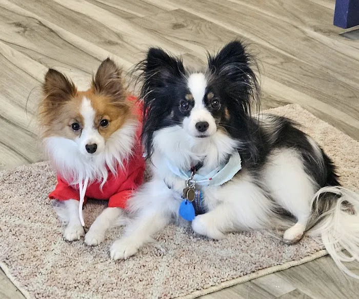 TLC Pet Care Centers Picture 10