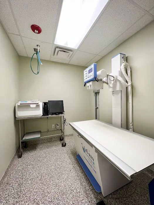 Maplewood Animal Hospital Picture 7