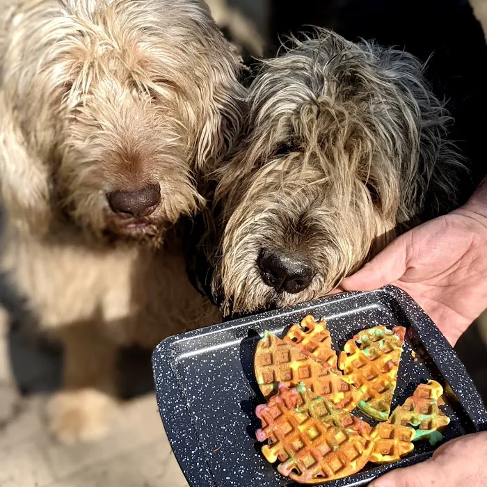 MaiRo & Co - Dog Treat Bakery Picture 4