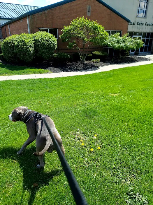 Animal Care Center of Forest Park Picture 2