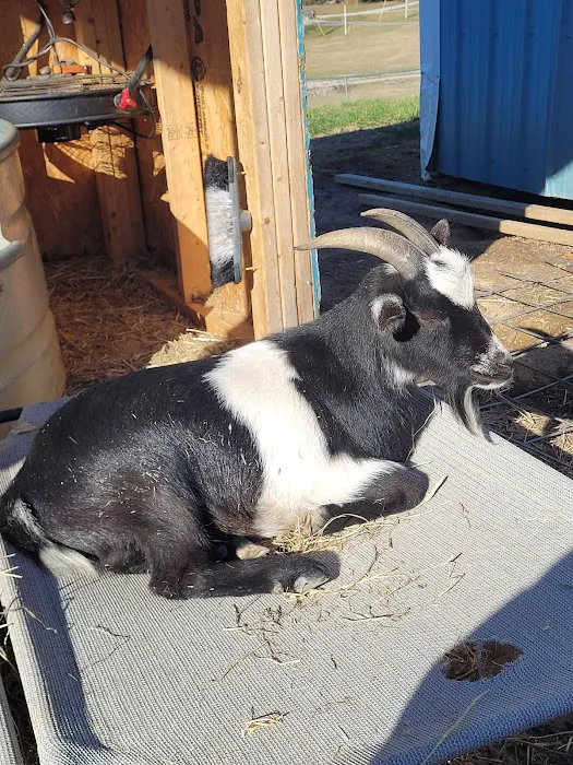 Green River Veterinary Services Picture 1