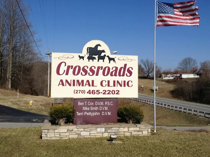 Crossroads Animal Clinic Picture 3