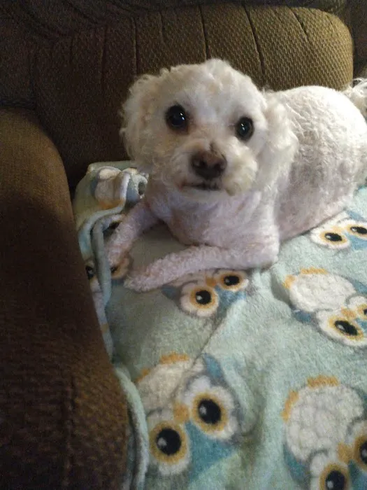 Crossroads Animal Clinic Picture 7