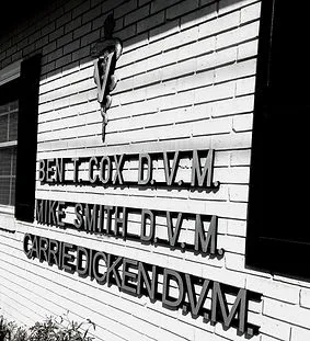 Crossroads Animal Clinic Picture 5