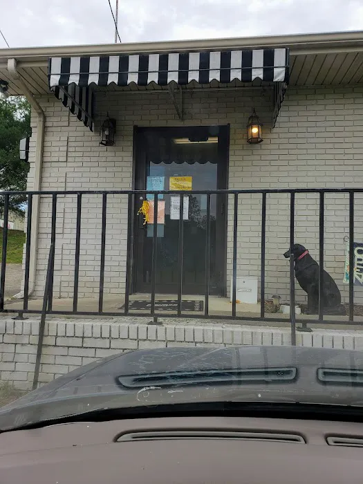 Crossroads Animal Clinic Picture 8