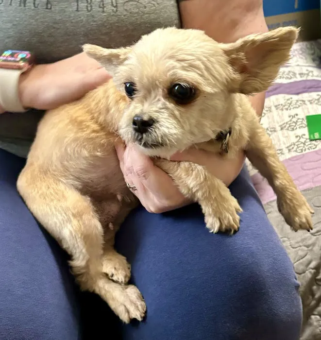Animal Hospital Picture 7