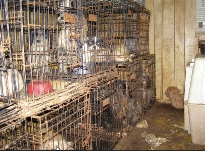 Adair County Animal Hospital Picture 10