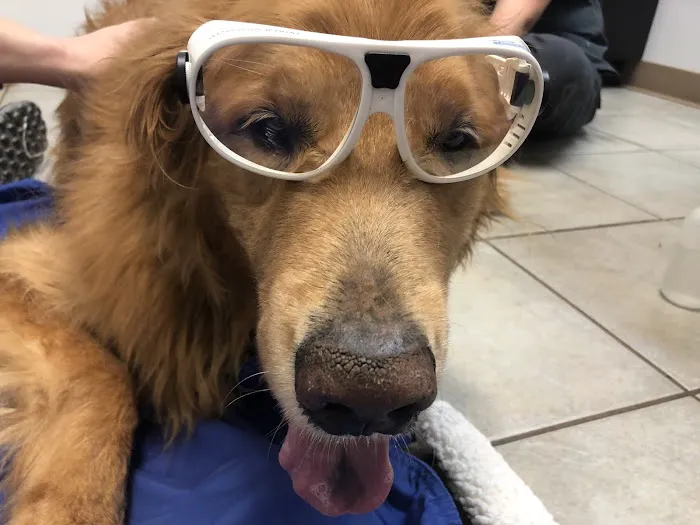 Adair County Animal Hospital Picture 6