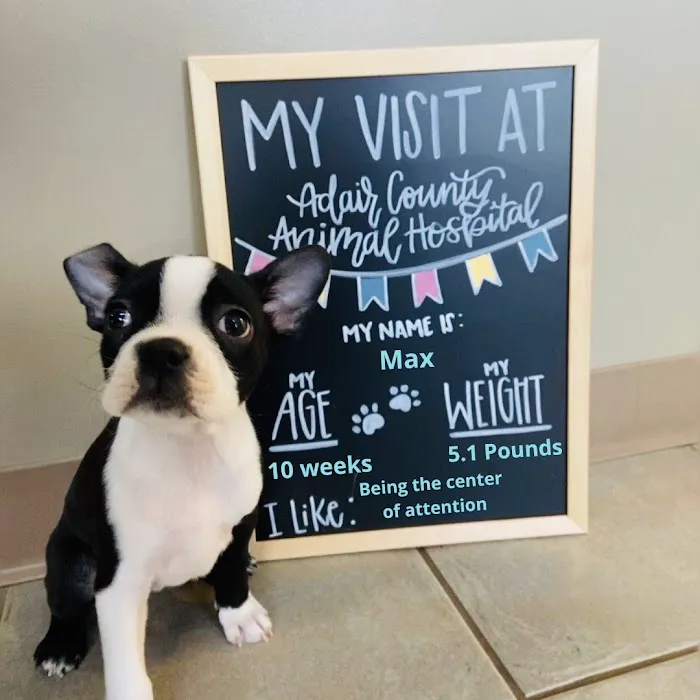 Adair County Animal Hospital Picture 5
