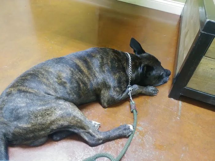 Coffey's Vet Center Picture 2