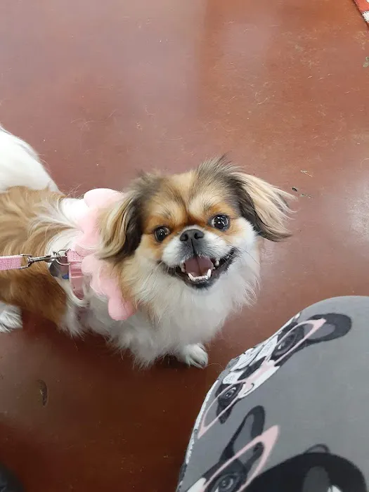 Coffey's Vet Center Picture 7