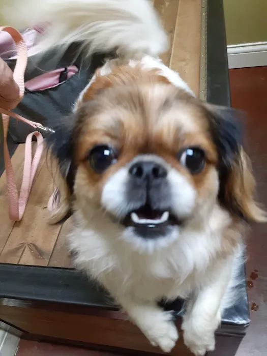 Coffey's Vet Center Picture 4