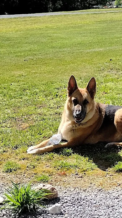 Coffey's Vet Center Picture 9