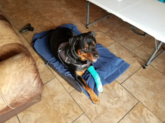Coffey's Vet Center Picture 10