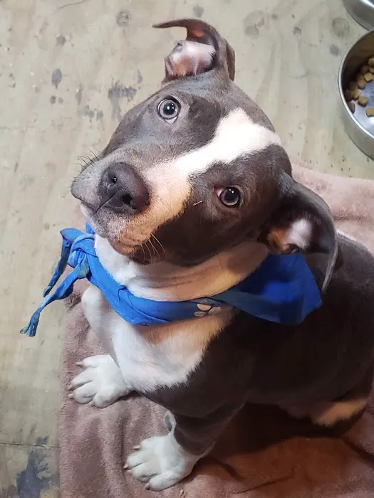 Coffey's Vet Center Picture 8