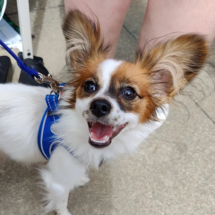 U-Vet Animal Clinic Picture 7