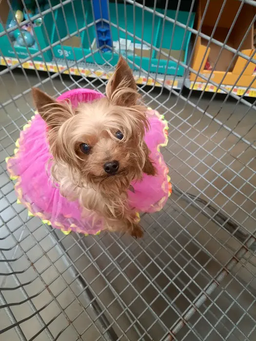 U-Vet Animal Clinic Picture 8