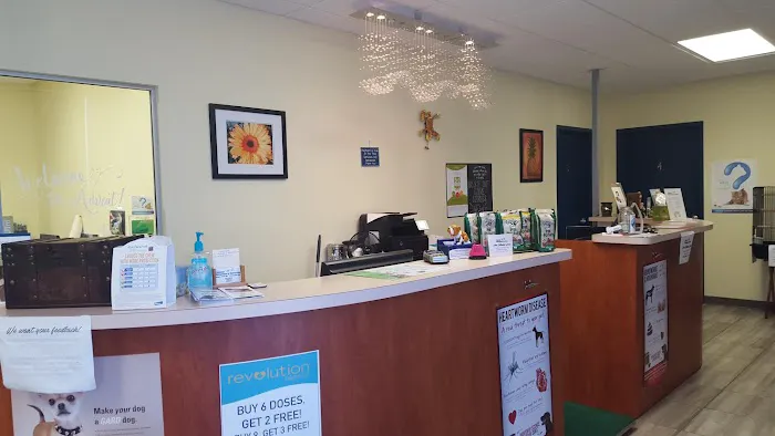 Advent Veterinary Services (Dr. Vivian Ramos - Dr. Thomas Kilbane) Picture 3