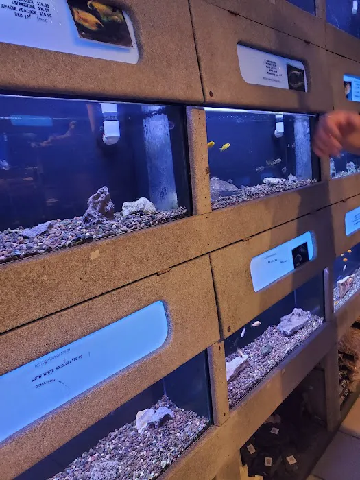 Aquarium Concepts Picture 6