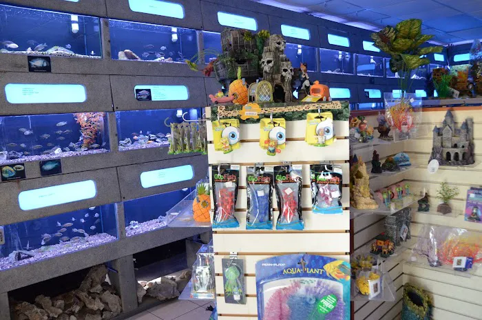 Aquarium Concepts Picture 2