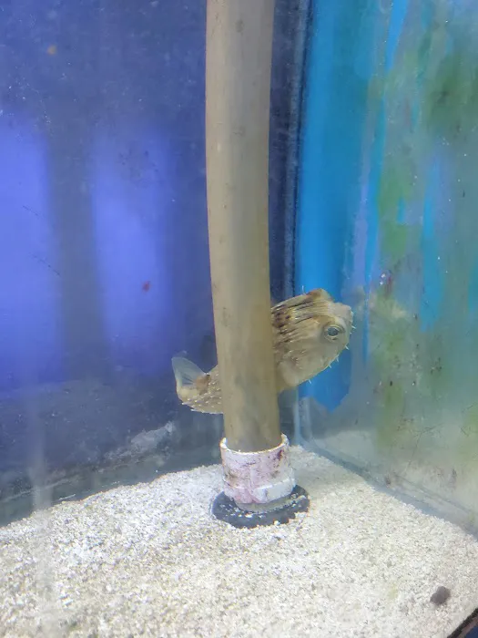 Aquarium Concepts Picture 9