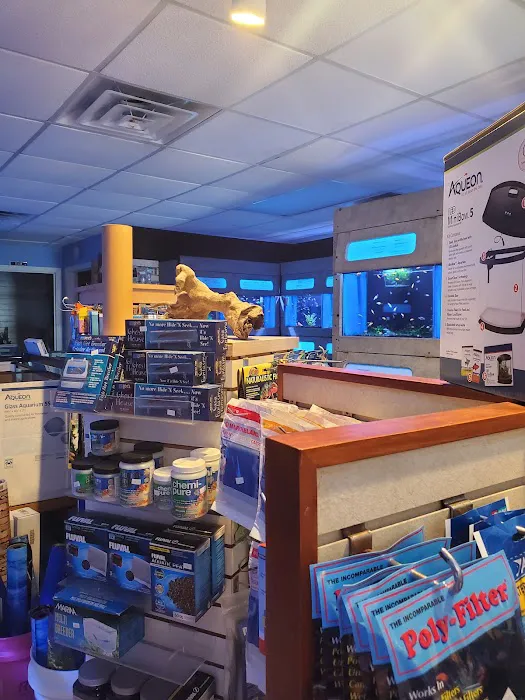 Aquarium Concepts Picture 10