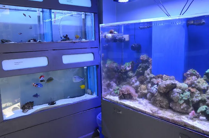 Aquarium Concepts Picture 1