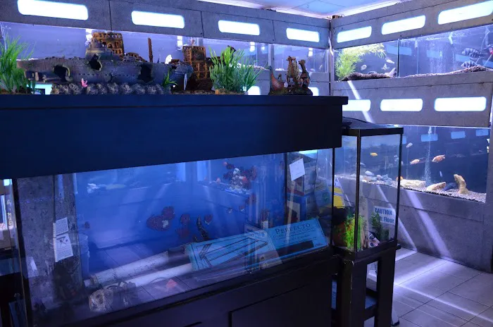 Aquarium Concepts Picture 3