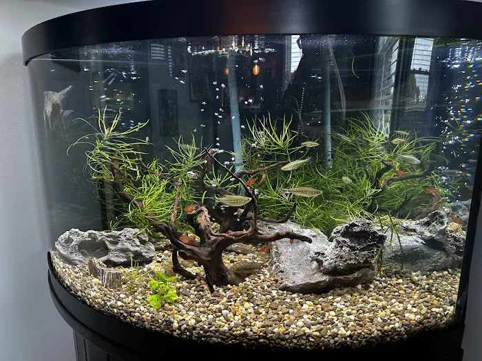 Aquarium Concepts Picture 7