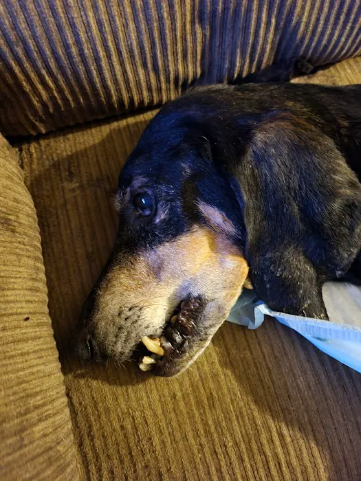 Greenbrier Animal Hospital Picture 1