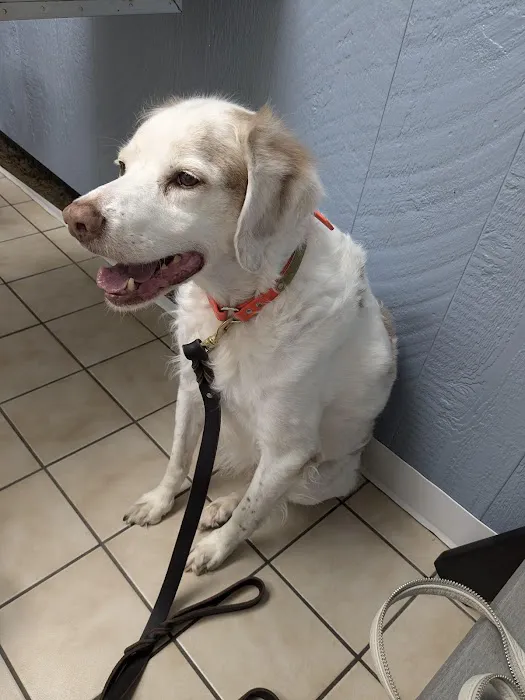 Greenbrier Animal Hospital Picture 4
