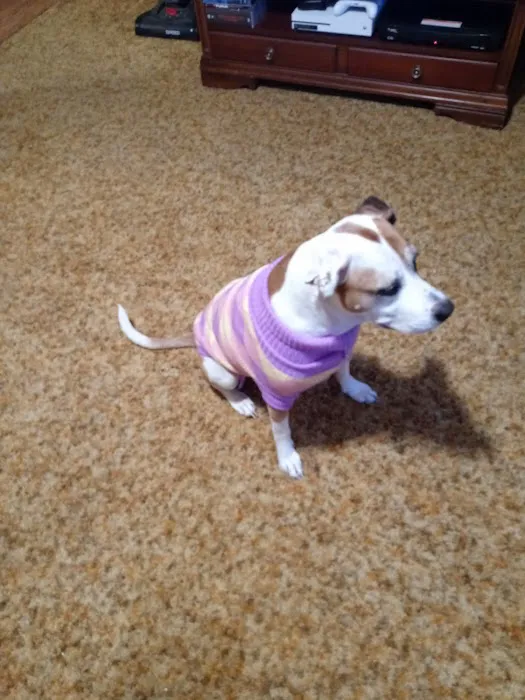 Muhlenberg County Animal Hospital Picture 4