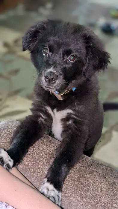 Muhlenberg County Animal Hospital Picture 3