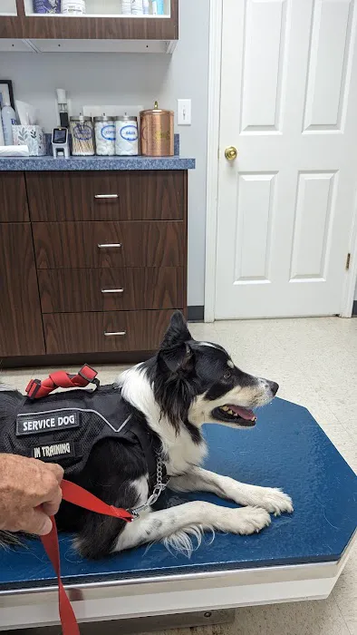 Muhlenberg County Animal Hospital Picture 5