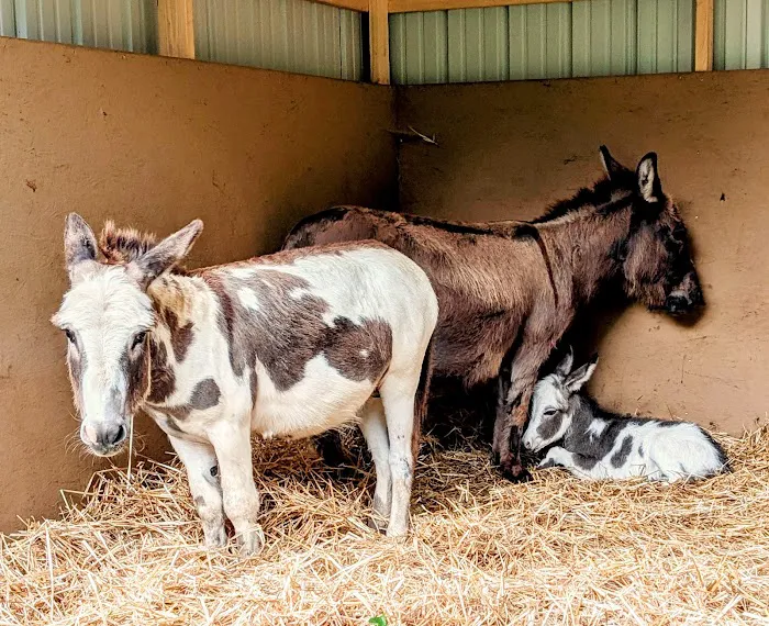 Heritage Animal Hospital Picture 1