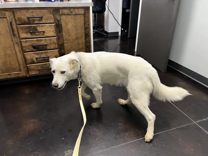 Heritage Animal Hospital Picture 5