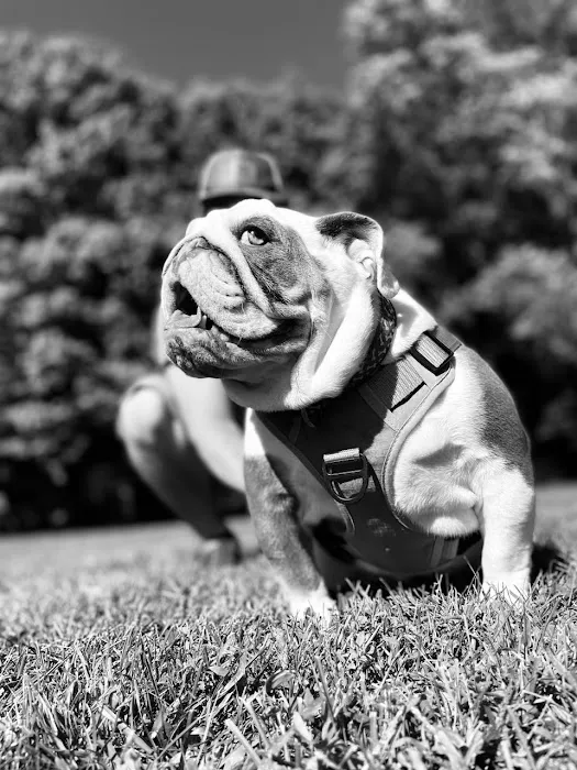 Heritage Animal Hospital Picture 6