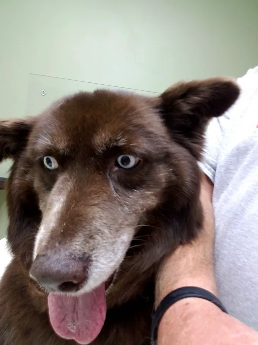 Greenville Animal Hospital Picture 6