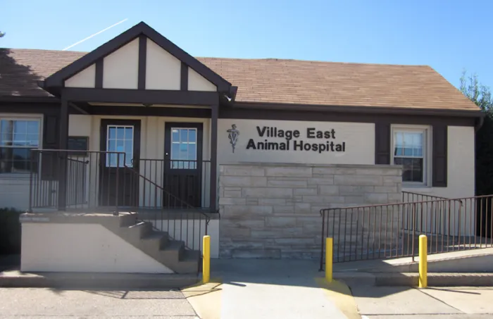 Village East Animal Hospital Picture 4