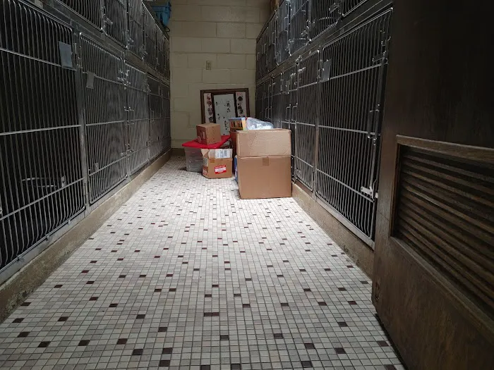 Chateau Dog & Cat Hospital Picture 6