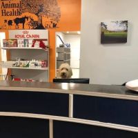 Lakeside Animal Health ico