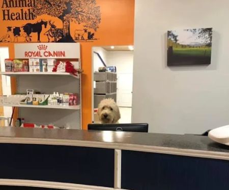 Lakeside Animal Health